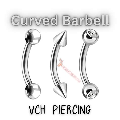 Vertical Hood Piercing: A Beginners Guide to VCH Piercing